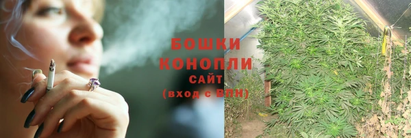 тгк Краснослободск